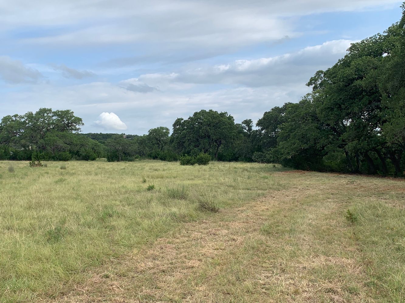 part of edmond ranch: 000 FM 32, Blanco, TX 78606